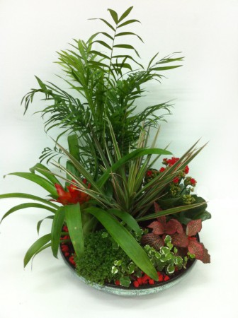 C-5 PLATO DE CRISTAL REDONDO    